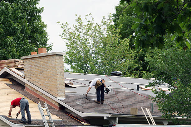 Best Metal Roofing Contractor  in Maynardville, TN