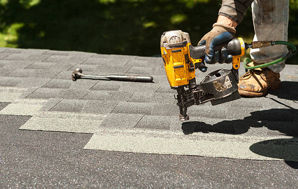 Best Roof Gutter Cleaning  in Maynardville, TN